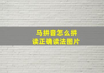 马拼音怎么拼读正确读法图片