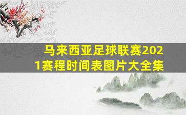 马来西亚足球联赛2021赛程时间表图片大全集