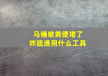 马桶被粪便堵了咋疏通用什么工具