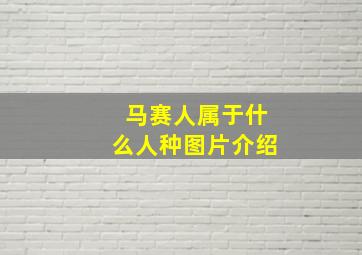 马赛人属于什么人种图片介绍