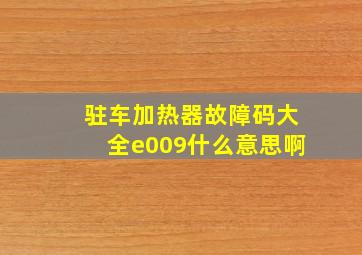 驻车加热器故障码大全e009什么意思啊