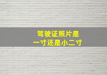 驾驶证照片是一寸还是小二寸