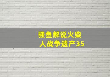 骚鱼解说火柴人战争遗产35