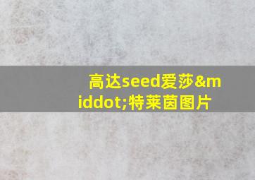 高达seed爱莎·特莱茵图片