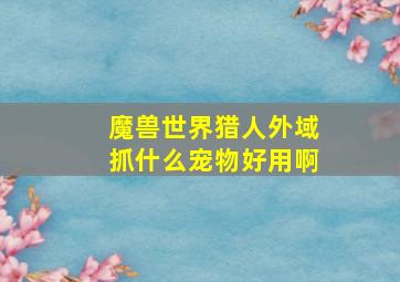 魔兽世界猎人外域抓什么宠物好用啊