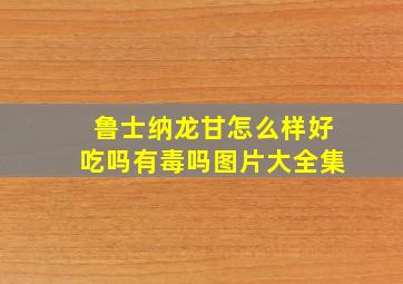 鲁士纳龙甘怎么样好吃吗有毒吗图片大全集