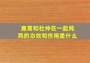 鹿茸和杜仲在一起炖鸡的功效和作用是什么