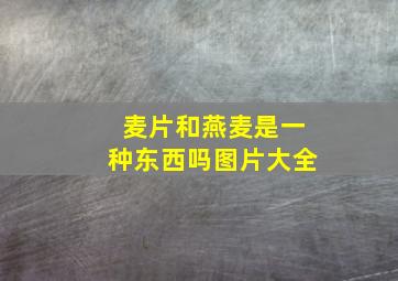 麦片和燕麦是一种东西吗图片大全