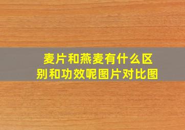 麦片和燕麦有什么区别和功效呢图片对比图