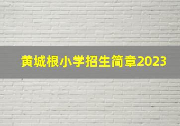 黄城根小学招生简章2023