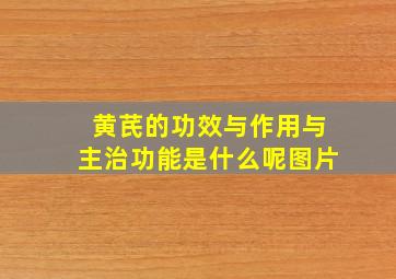 黄芪的功效与作用与主治功能是什么呢图片