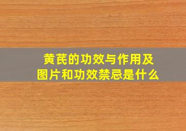 黄芪的功效与作用及图片和功效禁忌是什么