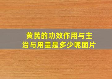 黄芪的功效作用与主治与用量是多少呢图片