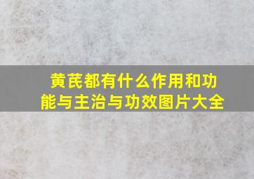 黄芪都有什么作用和功能与主治与功效图片大全