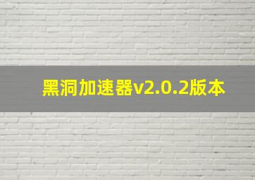 黑洞加速器v2.0.2版本