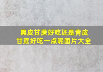 黑皮甘蔗好吃还是青皮甘蔗好吃一点呢图片大全