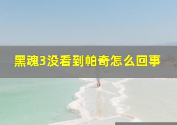 黑魂3没看到帕奇怎么回事