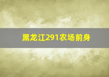 黑龙江291农场前身