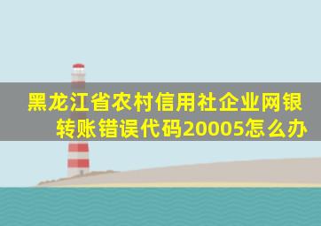 黑龙江省农村信用社企业网银转账错误代码20005怎么办