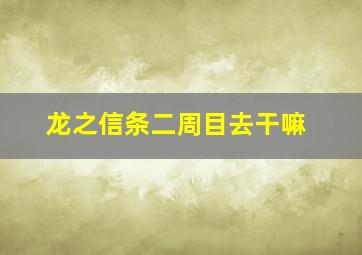 龙之信条二周目去干嘛