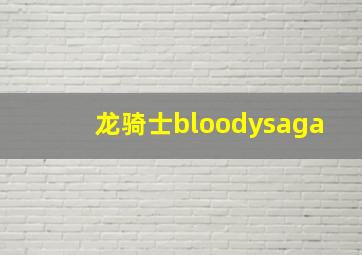 龙骑士bloodysaga