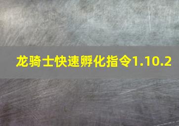 龙骑士快速孵化指令1.10.2